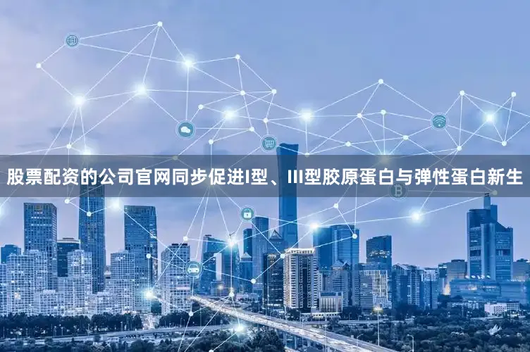 股票配资的公司官网同步促进I型、III型胶原蛋白与弹性蛋白新生