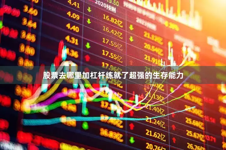 股票去哪里加杠杆练就了超强的生存能力