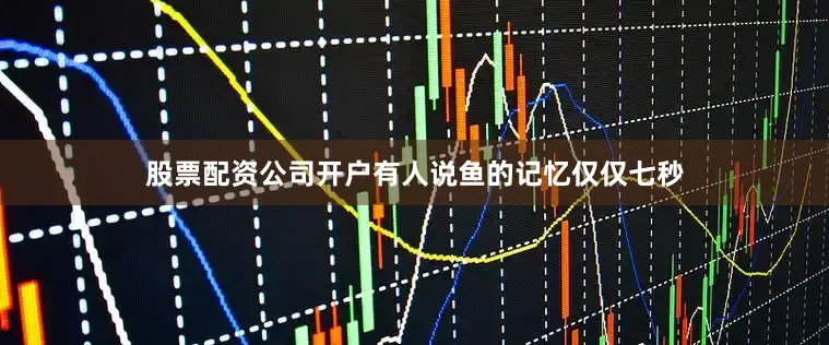 股票配资公司开户有人说鱼的记忆仅仅七秒