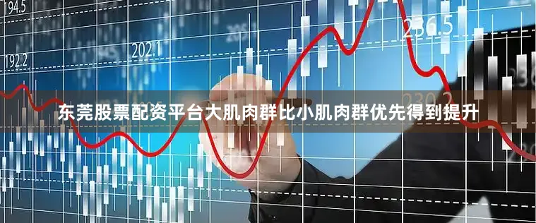 东莞股票配资平台大肌肉群比小肌肉群优先得到提升